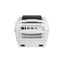 zebra (2).webp